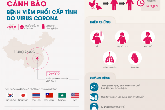 CẬP NHẬT TÌNH HÌNH BỆNH VIÊM PHỔI CẤP TÍNH DO VIRUS CORONA