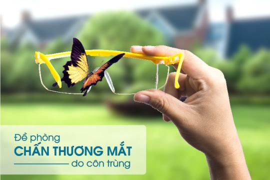 PREVENT EYE INJURIES CAUSED BY INSECTS