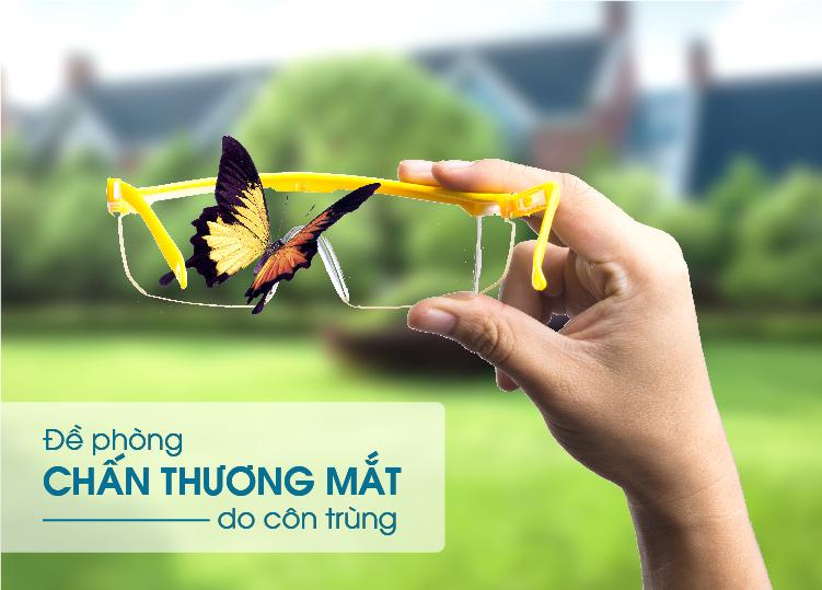 ĐỀ PHÒNG CHẤN THƯƠNG MẮT DO CÔN TRÙNG!