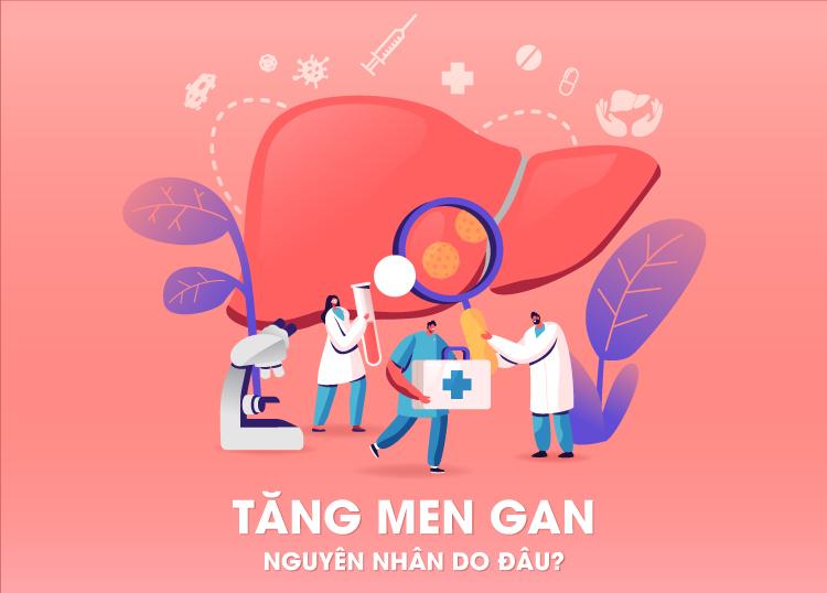 WHAT CAUSES ELEVATED LIVER ENZYMES?