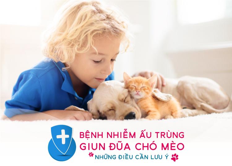 BỆNH NHIỄM ẤU TRÙNG GIUN ĐŨA CHÓ MÈO & NHỮNG ĐIỀU CẦN LƯU Ý