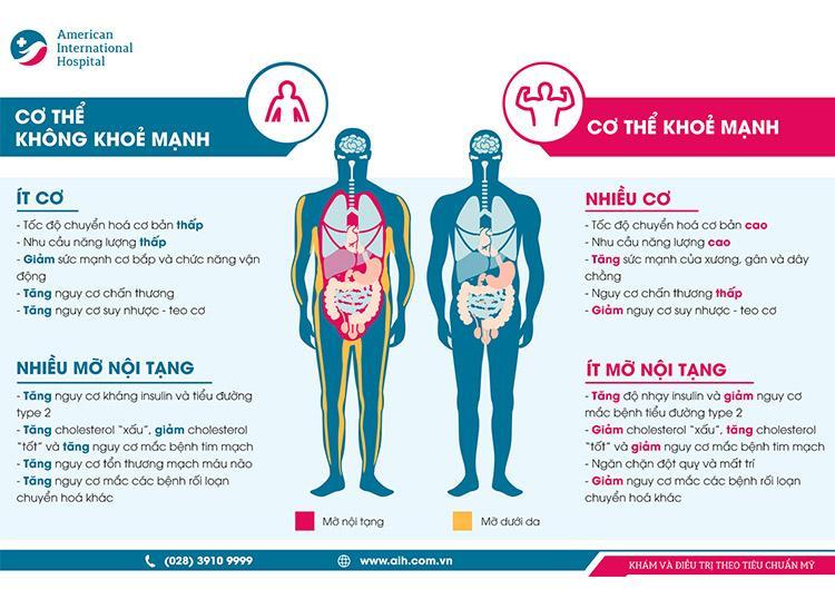 MỠ NỘI TẠNG: MỐI NGUY ẢNH HƯỞNG NGHIÊM TRỌNG ĐẾN SỨC KHỎE CỦA BẠN