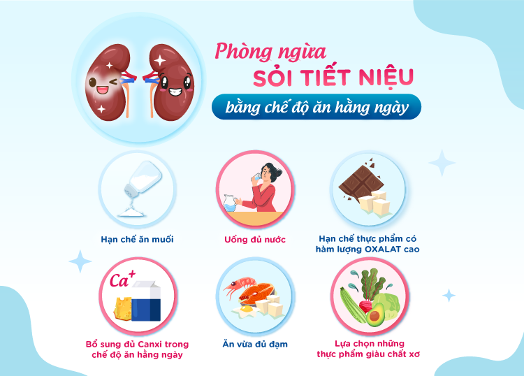 PHÒNG NGỪA SỎI TIẾT NIỆU BẰNG CHẾ ĐỘ ĂN HẰNG NGÀY